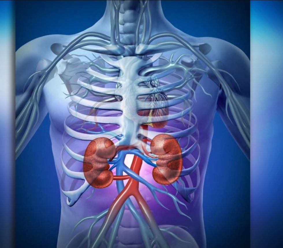 Critical Care Nephrology MCQ