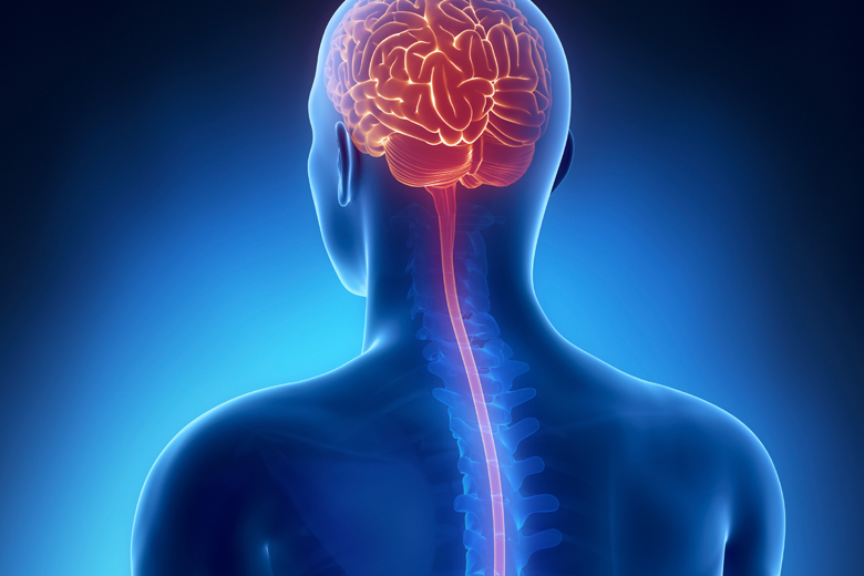 Critical Care Neurology MCQ